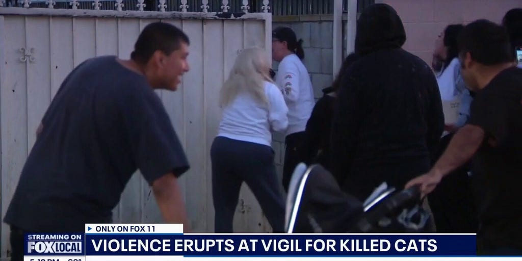 Angry mob targets wrong house during vigil for murdered cats