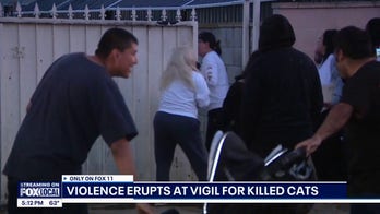Angry mob targets wrong house during vigil for murdered cats