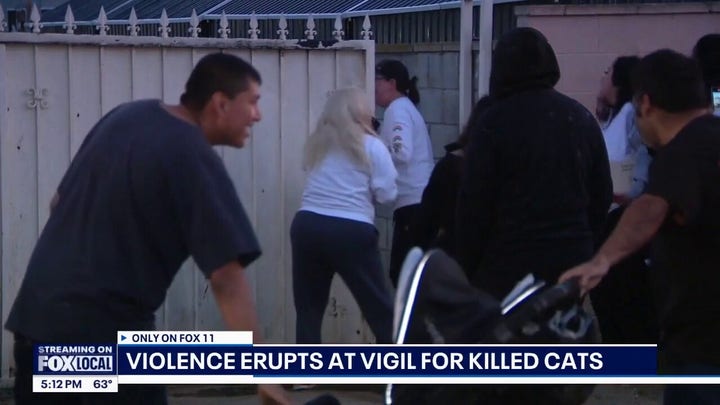 Angry mob targets wrong house during vigil for murdered cats