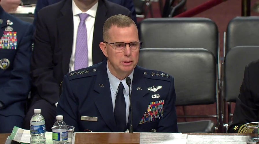 US Air Force General says there were over 350 drone detections over 100 bases last year