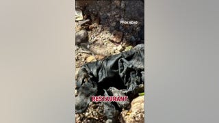 DNA match found on gloves near Guthrie home