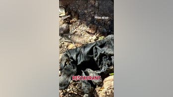 DNA match found on gloves near Guthrie home