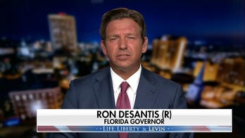 Ron DeSantis: Border crisis is a 'sin of commission' by Biden