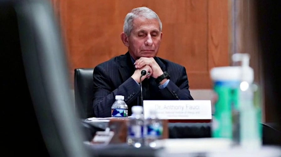 'The Five' react to Fauci's continued denial