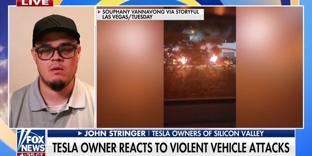 Tesla group leader warns violent protests against car owners are just the 'starting point'