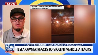 Tesla group leader warns violent protests against car owners are just the 'starting point'
