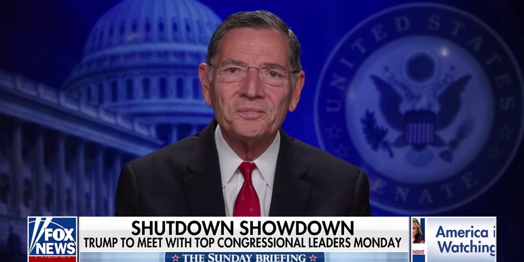 Schumer is trying to save his own hide, Sen. Barrasso says