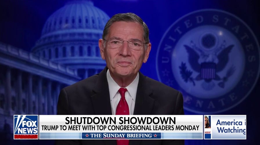 Schumer is trying to save his own hide, Sen. Barrasso says