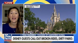 Disney 'alienated' families with dirty parks, broken rides, 'political agenda': Senate candidate - Fox News