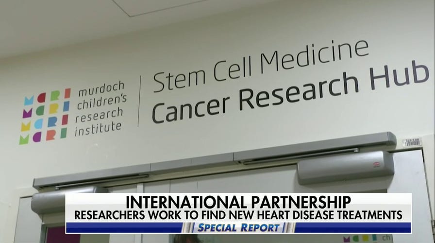 'Decoding Broken Hearts': Artificial intelligence used to advance heart health research
