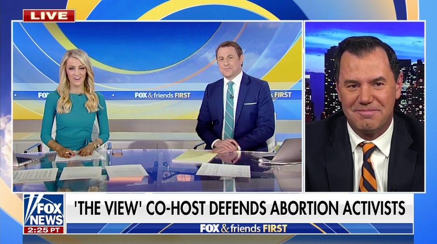 Joe Concha: 'Nina Jankowicz is the Joy Reid of government officials'