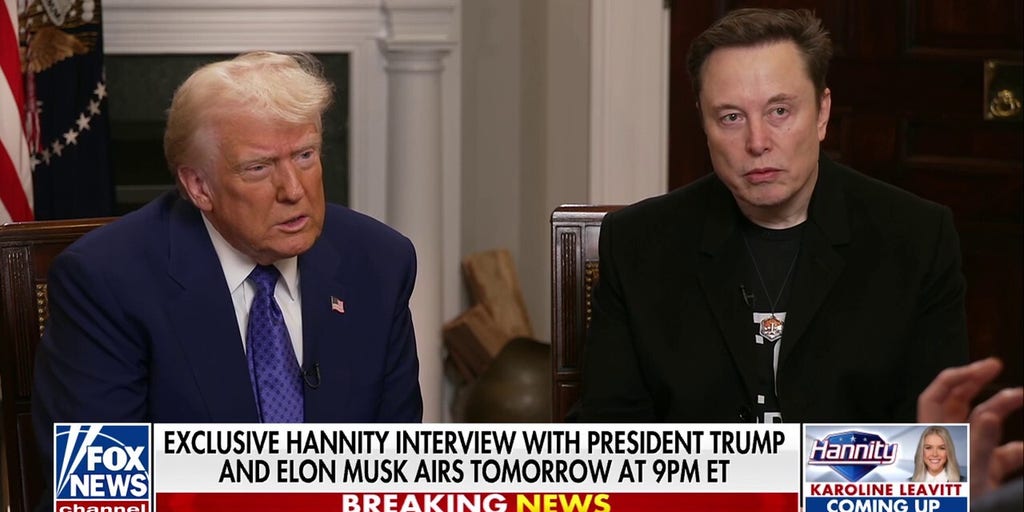 Elon Musk on Trump Derangement Syndrome: They've become 'completely irrational'