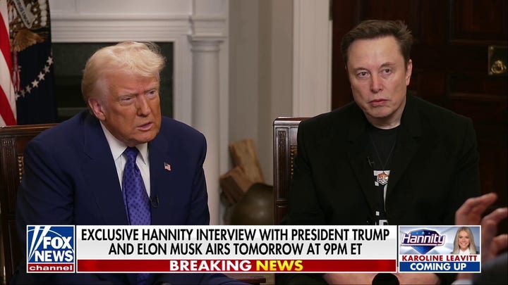 Elon Musk on Trump Derangement Syndrome: They've become 'completely irrational'