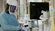 Texas dog first animal in state confirmed to have COVID-19