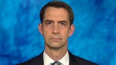 Biden admin more worried Afghanistan cabinet is full of men than worried it's full of terrorists: Tom Cotton