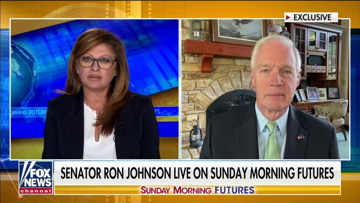 Sen. Johnson on rising inflation: Democrats are 'living in a fantasy world'