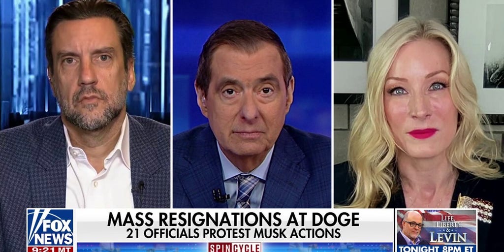 Democrats pack town meetings to debate DOGE, backed by left-wing groups