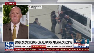 Tom Homan rips judge's 'radical' Alligator Alcatraz ruling