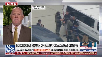 Tom Homan rips judge's 'radical' Alligator Alcatraz ruling