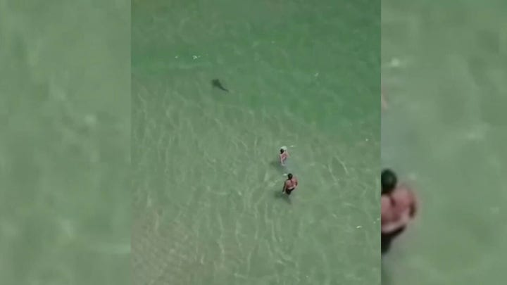 Drone footage shows shark circling man and small child at Alabama beach