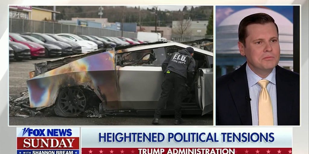 The left has never restrained its ability to silence opponents: 'Ruthless' co-host