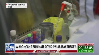 LAB LEAK?: Origins of COVID-19 released in World Health Organization report