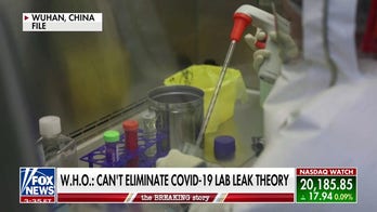 LAB LEAK?: Origins of COVID-19 released in World Health Organization report