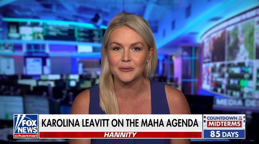 Karoline Leavitt: These Democrats hide behind 'cute labels'