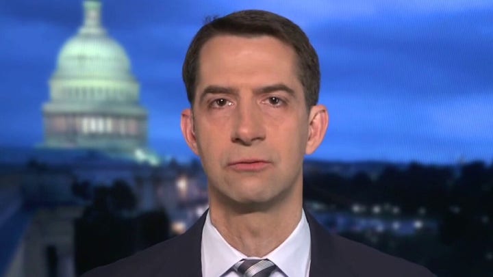 Sen. Tom Cotton: Immigration surge is a disaster of President Biden’s own making