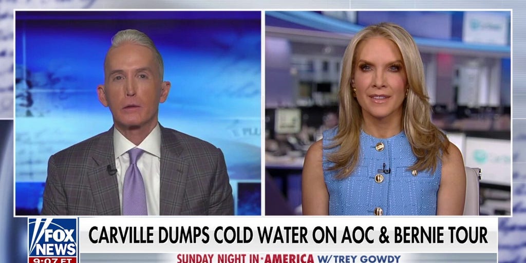 AOC and Bernie are 'so far out there,' says Dana Perino