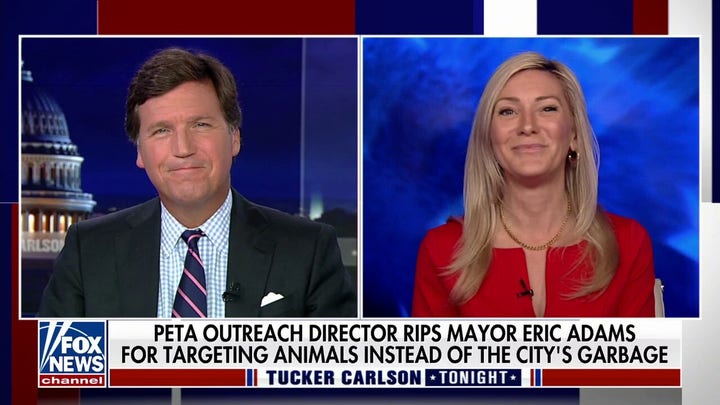 If killing rats worked, we wouldn't have a rat problem: Ashley Byrne