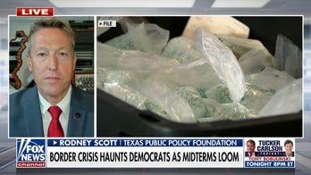 Former Border Patrol Chief Rodney Scott slams Democrats' denial of border crisis