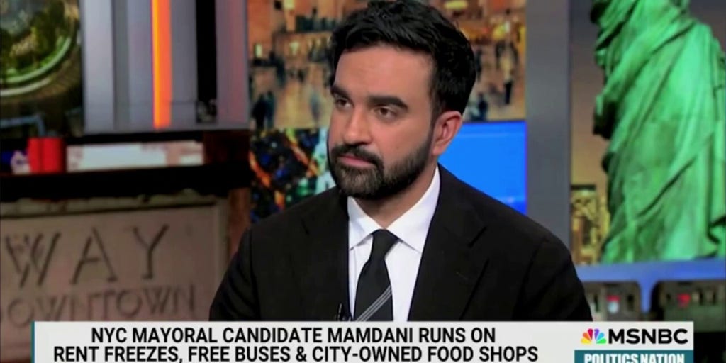 Mamdani tells MSNBC he hopes to convince wealthy New Yorkers to pay
