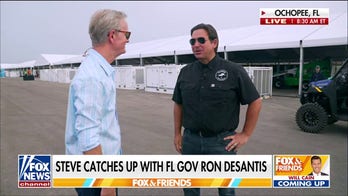 'One stop shop': Gov. DeSantis shares key goals for 'Alligator Alcatraz'