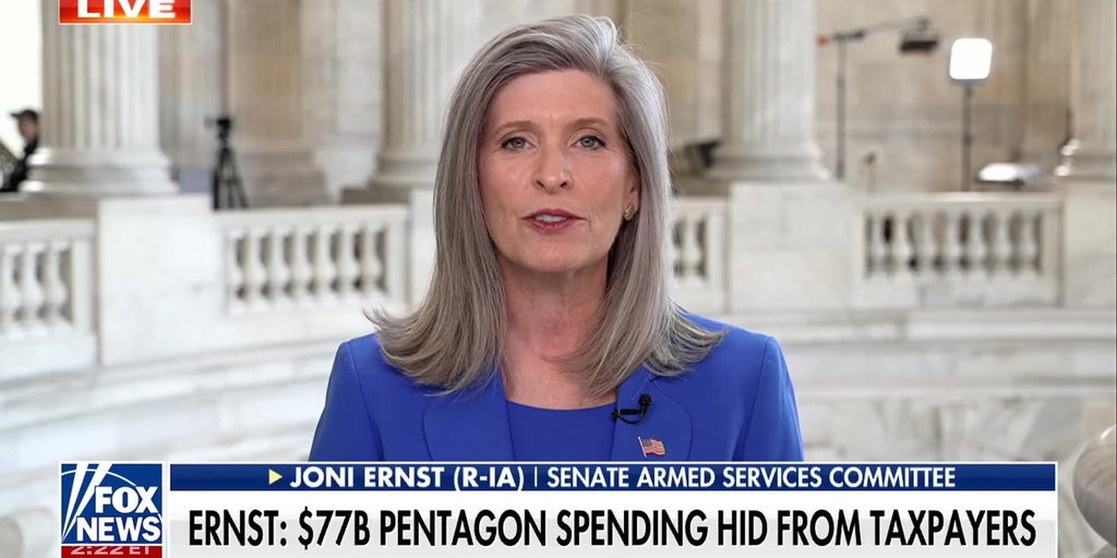 If our taxpayers are sending their hard-earned dollars to DC, we need to know it's spent wisely, GOP senator says