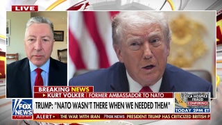 Trump's NATO criticism sparks debate, former ambassador clarifies alliance's role amid Iran rift