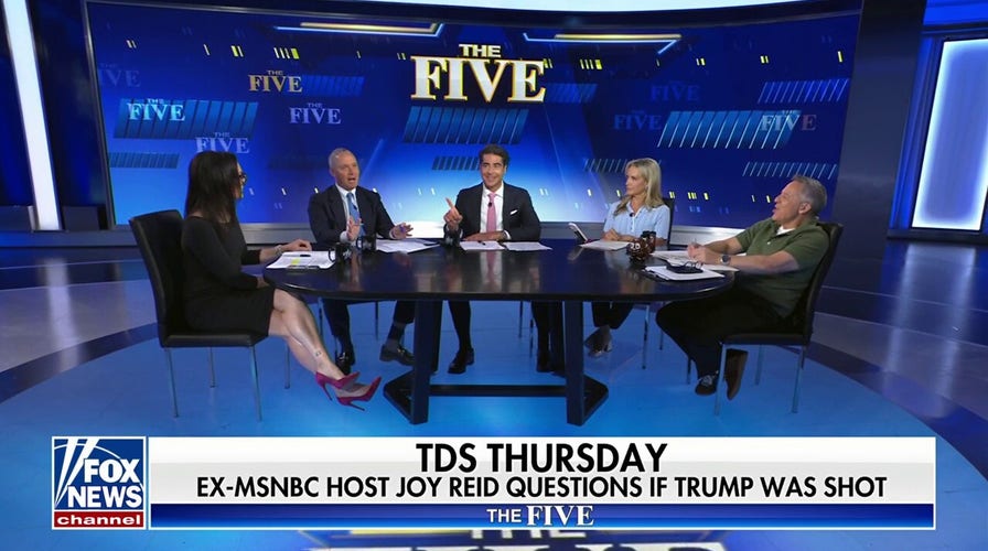 Joy Reid's ideas are 'bizarre,' says Greg Gutfeld