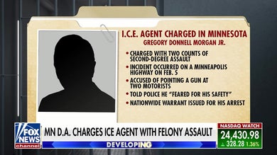Minnesota DA charges ICE agent with felony assault, sparking state vs. federal showdown