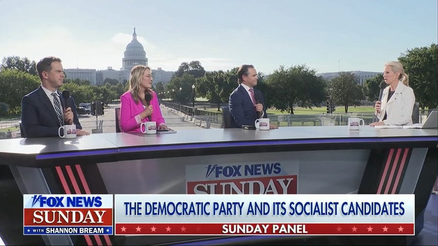 Ex-Biden assistant says Democratic Party should disavow Hasan Piker