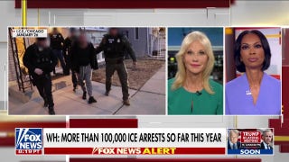 Kellyanne Conway calls out 'epidemic' of Democrats 'looking the other way' on immigration