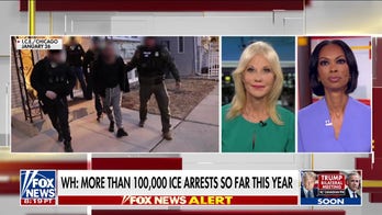 Kellyanne Conway calls out 'epidemic' of Democrats 'looking the other way' on immigration