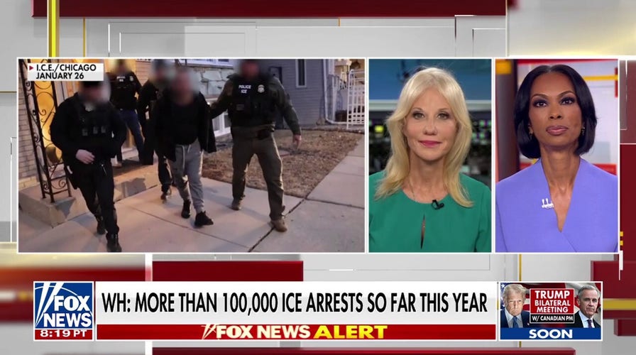 Kellyanne Conway calls out 'epidemic' of Democrats 'looking the other way' on immigration