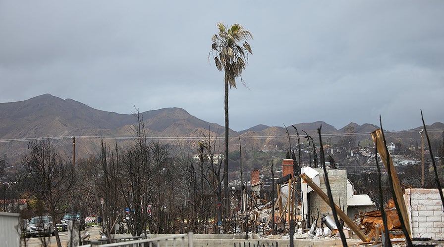 Arrest made in connection to deadly Pacific Palisades Fire, sources say