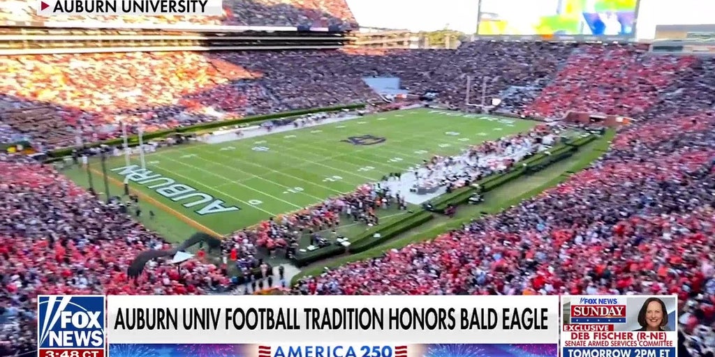 Auburn University celebrates 25 years of War Eagle flight tradition