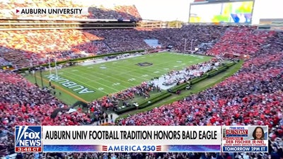 Auburn University celebrates 25 years of War Eagle flight tradition