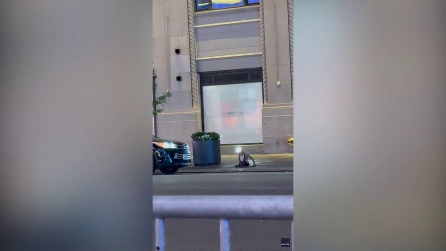 Bystander films three people in overalls emerging from NYC manhole onto sidewalk
