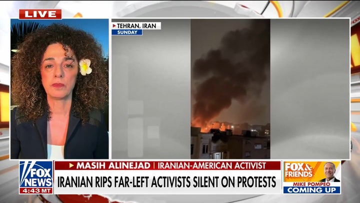  Iranian-American activist sounds off on left-wing protesters’ silence on Iran: 'Beyond hypocrisy’