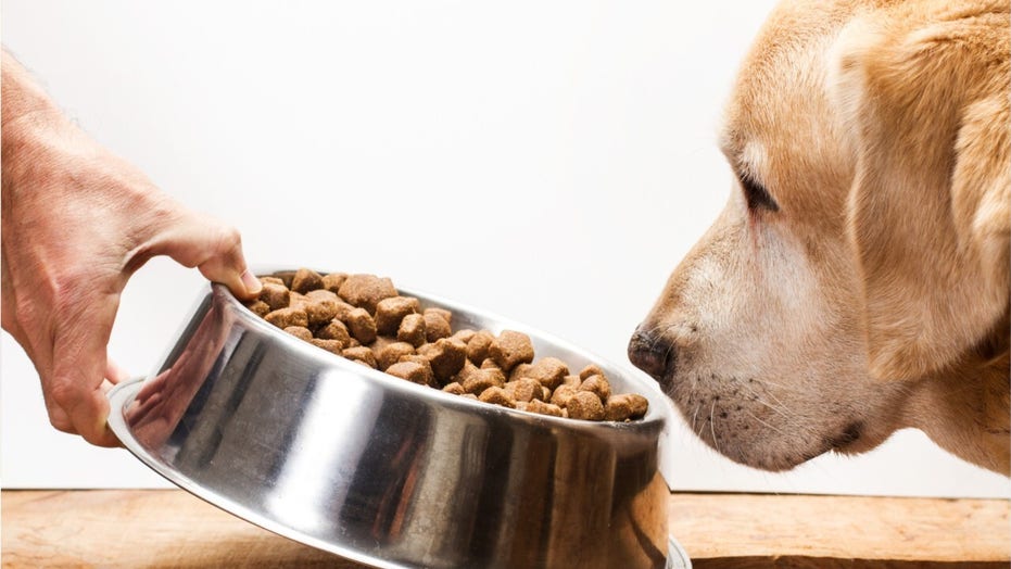 Feeding your dog well is a whole science of its own