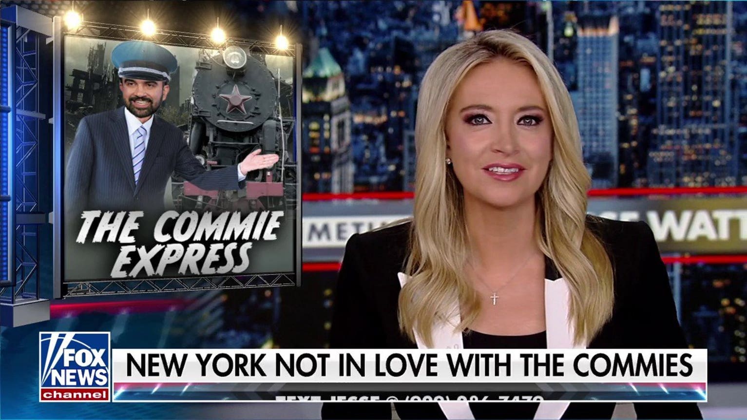 McEnany: If socialists really wanted to win, they needed to listen to Carville
