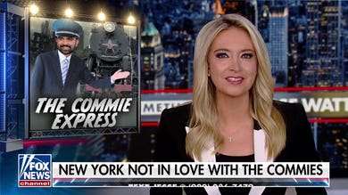 McEnany: If socialists really wanted to win, they needed to listen to Carville